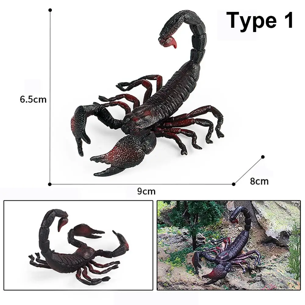 Juguete educativo de ciencia y naturaleza con escorpión para niños - imagen 5