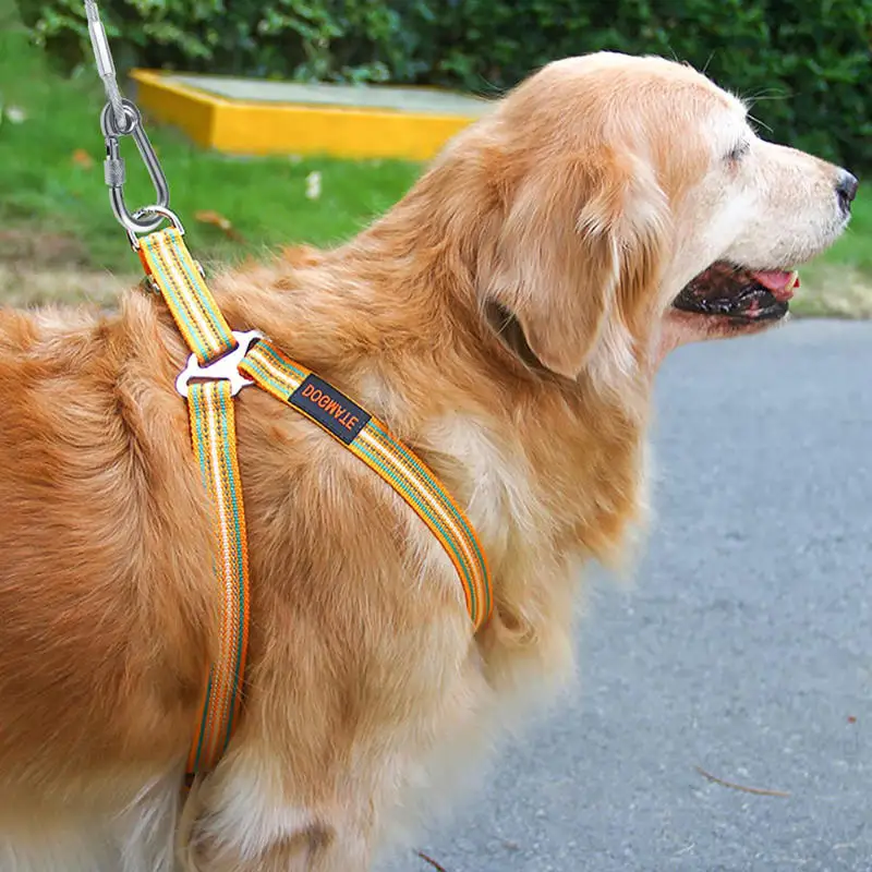Cable de acero para correa canina con hebilla giratoria - imagen 3