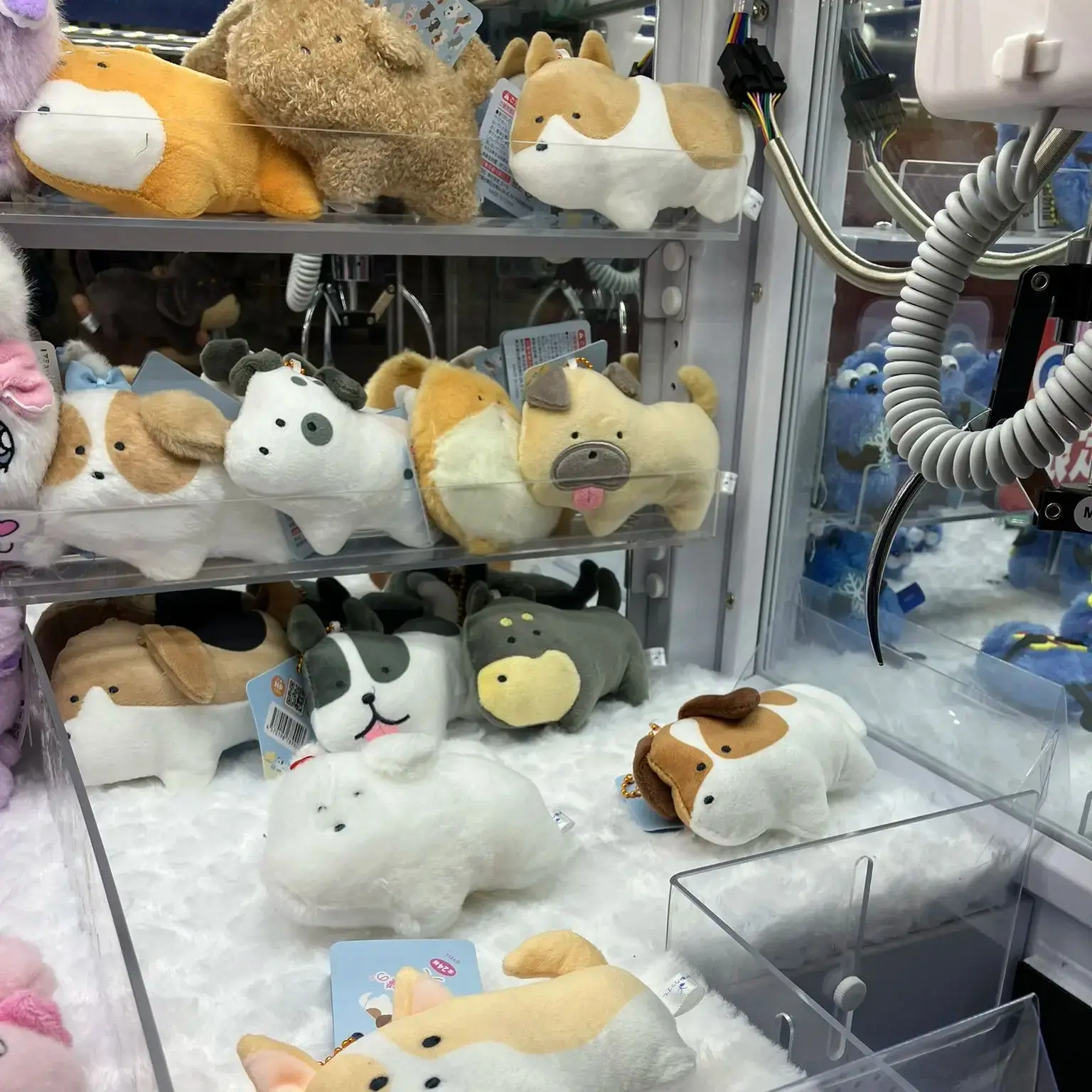 Peluche Yell de perro pequeño con ojos redondos, colgante infantil - imagen 5