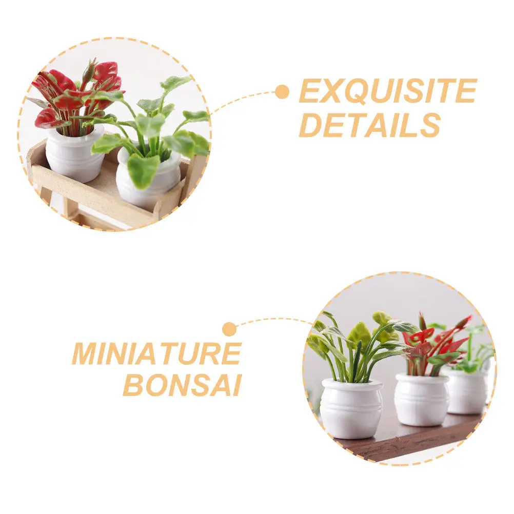 Mini bonsái en maceta realista para micro jardín - imagen 5