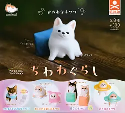Stasto figura Chihuahua dormido juguete coleccionable ideal regalo