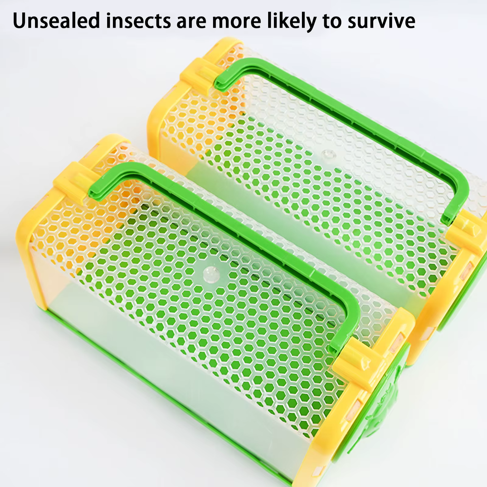 Kit de observación de insectos y accesorios