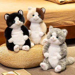 Peluche gato suave sentado como cojín para niñas, regalo San Valentín