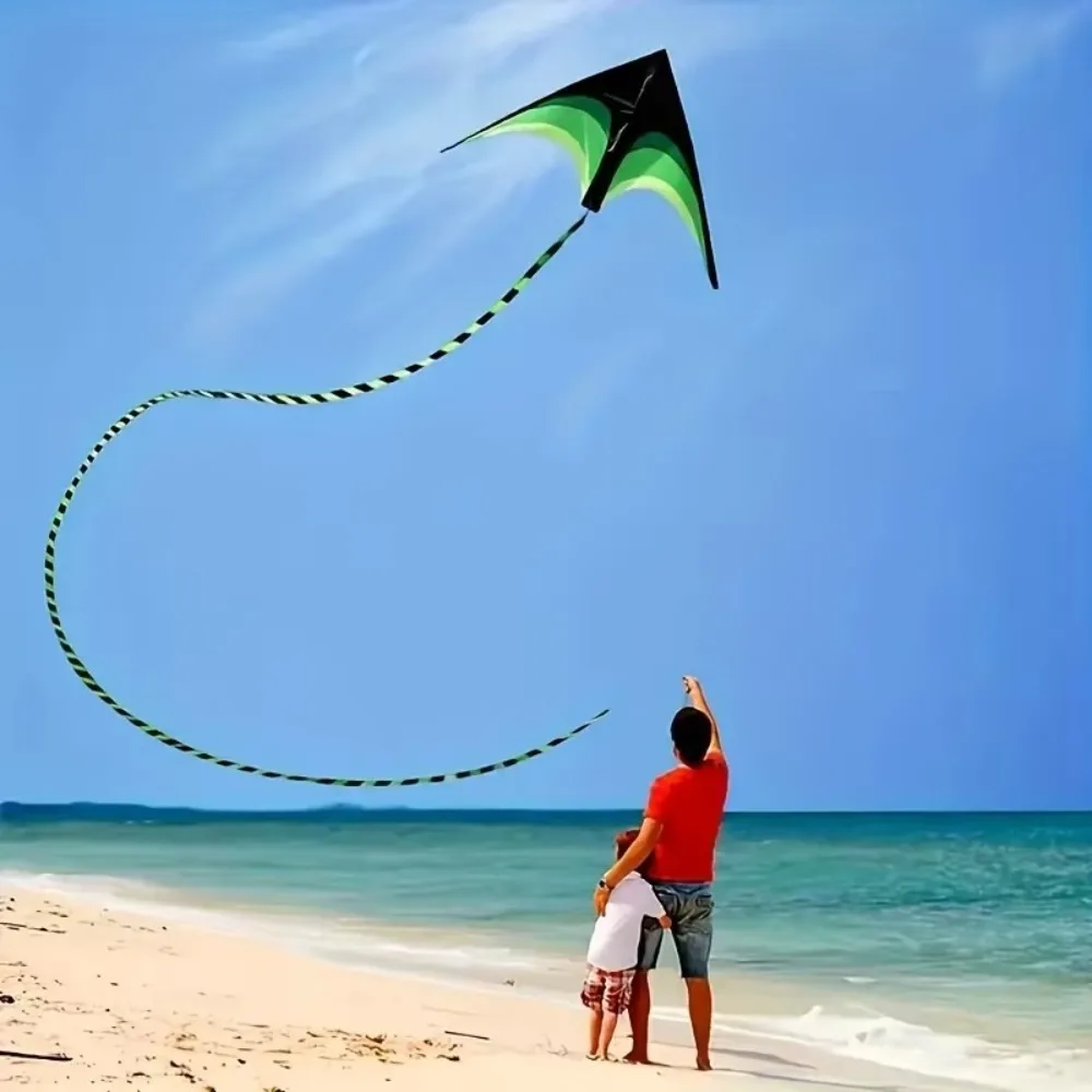 Easy Fly cometa Delta arcoíris Ripstop con cola larga - imagen 5