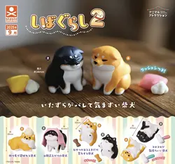 Figura de juguete Shiba Inu travieso con accesorios para baño