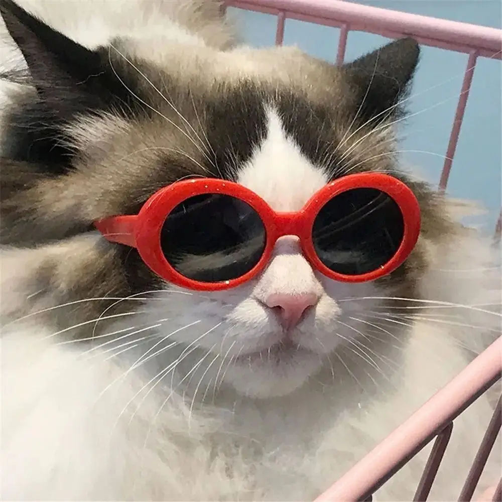 Blythe – Gafas de sol para muñeca estilo moderno y divertido - imagen 5