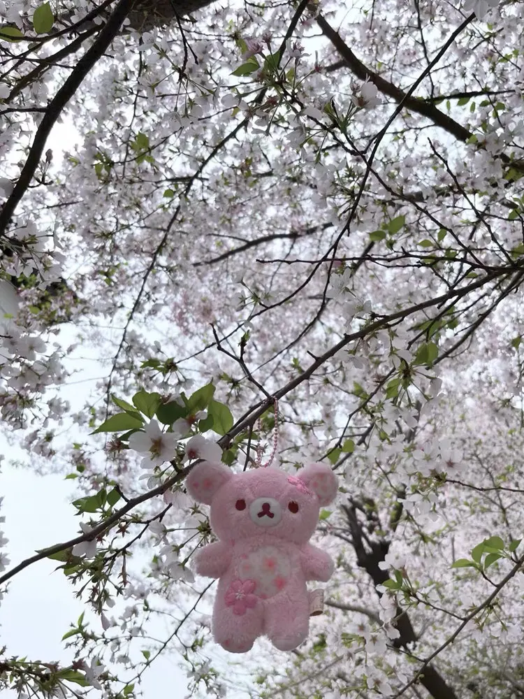 Peluche oso Rilakkuma floral de sakura, suave y almohada - imagen 3