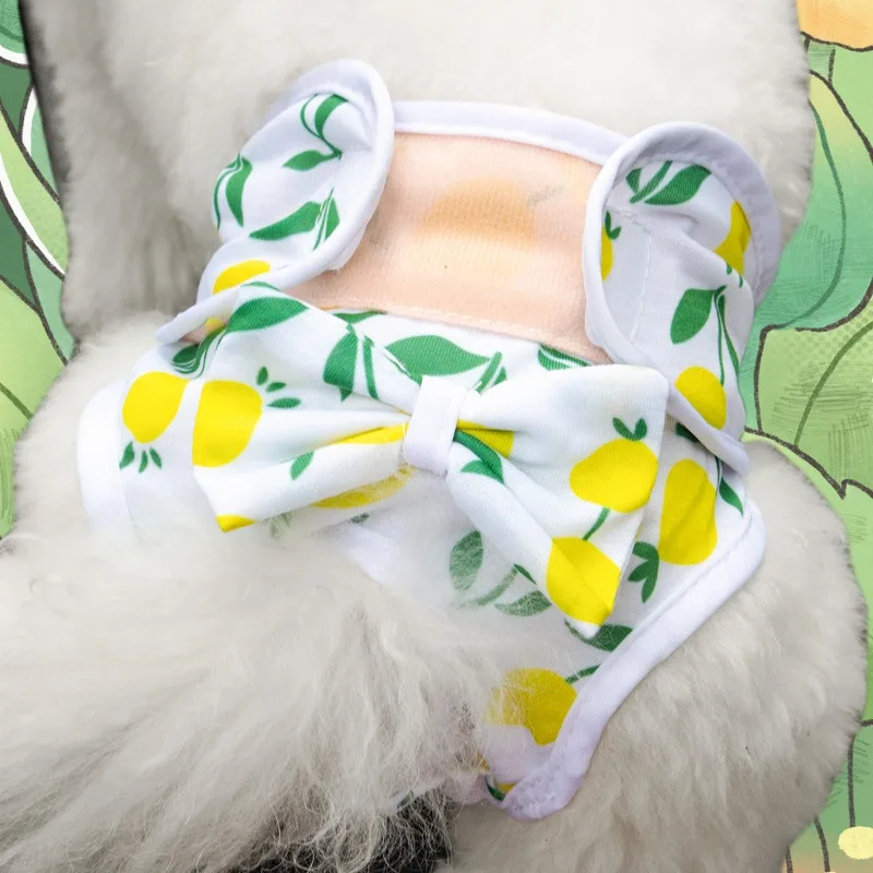 Pañales lavables con estampado – Pantalones fisiológicos para niños - imagen 4