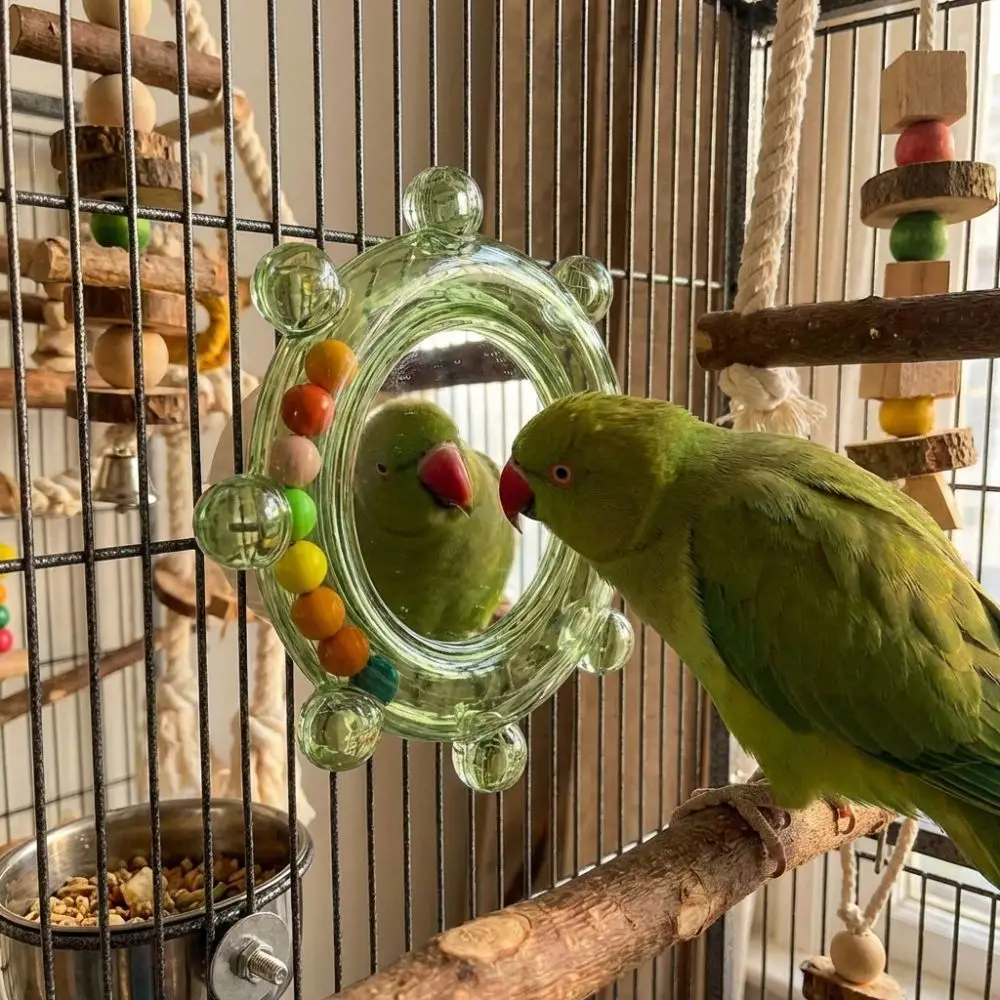 Juguete giratorio para loros con espejo y campana resistente a mordidas - imagen 5