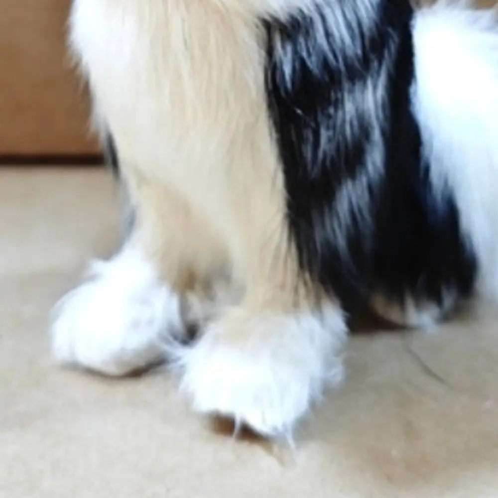 Peluche de lobo grande blanco y negro, cola y ojos expresivos