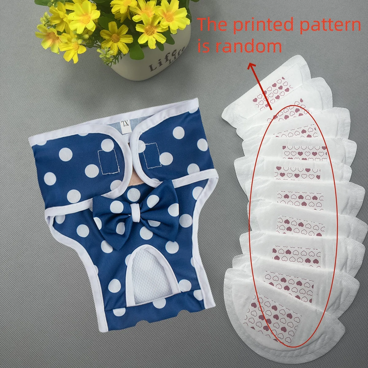 Pantalones fisiológicos lavables para perros – a prueba de fugas - imagen 3