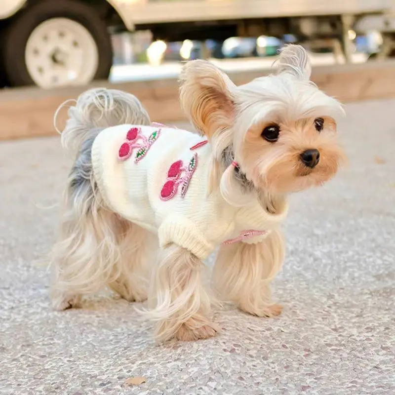 Jersey de punto con diseño de cereza para perro pequeño