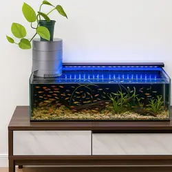 Filtro de cascada silencioso para acuario externo, montaje en pared