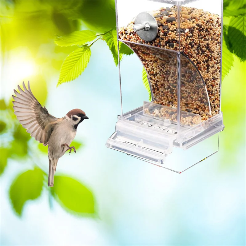 Comedero automático sin desorden para pájaros – Acrílico - imagen 4