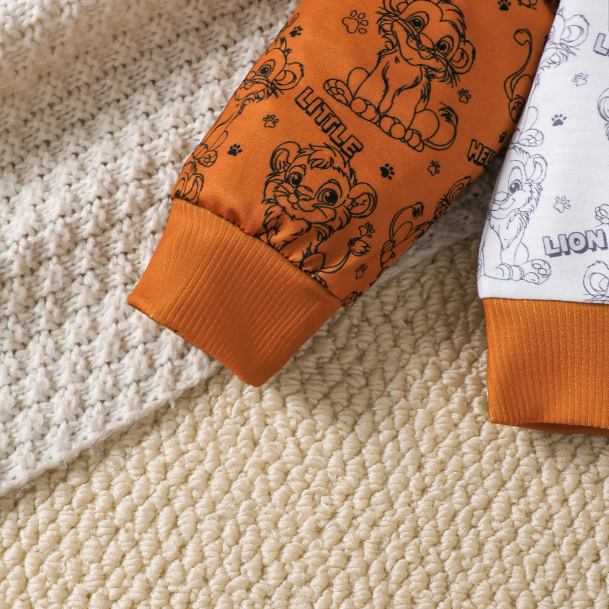Conjunto infantil de león para primavera: sudadera y pantalón - imagen 2