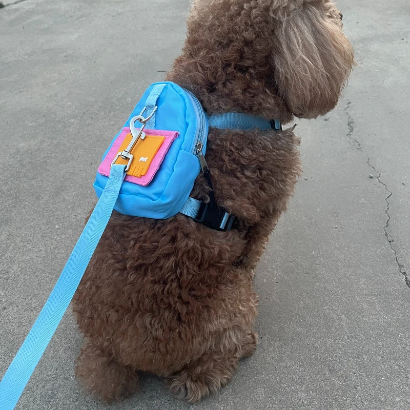 Bolsas para perros y accesorios de paseo – Set azul con treats para gatos