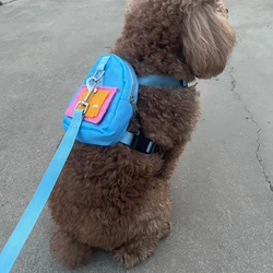Bolsas para perros y accesorios de paseo – Set azul con treats para gatos