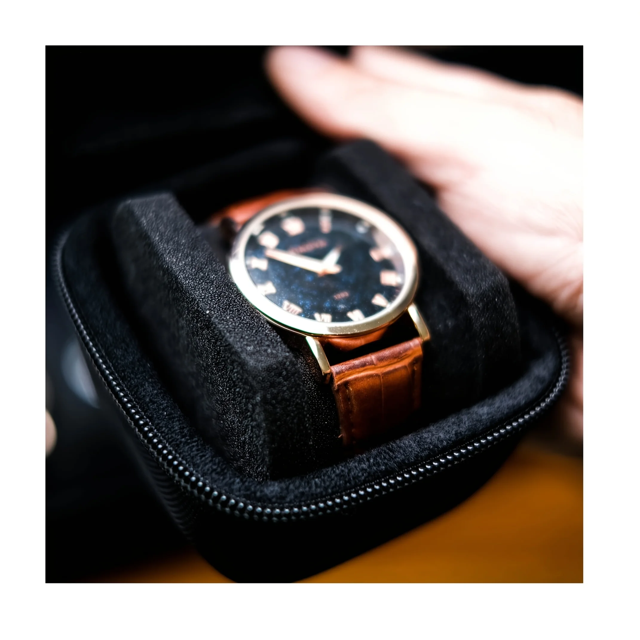 Interior con almohadas de terciopelo negro para relojes