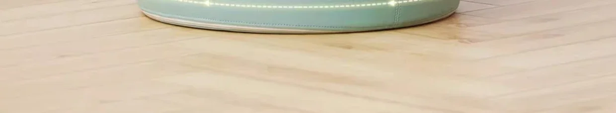 Asiento perezoso con dibujos animados