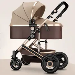 Cochecito 2 en 1 reversible – Ligero y compacto para viaje