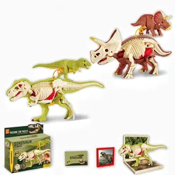 Modelo de dinosaurio anatómico tridimensional para montar educativo