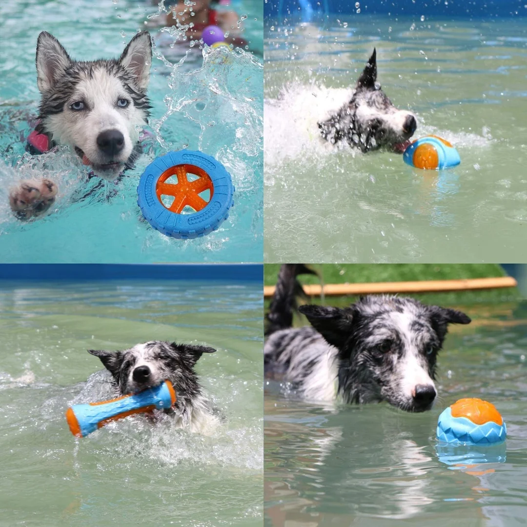Juguete interactivo para perro grande masticando