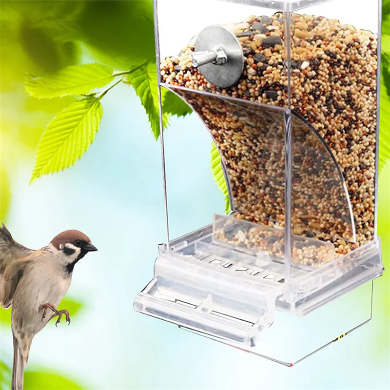 Comedero automático sin desorden para pájaros – Acrílico