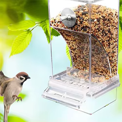 Comedero automático sin desorden para pájaros – Acrílico