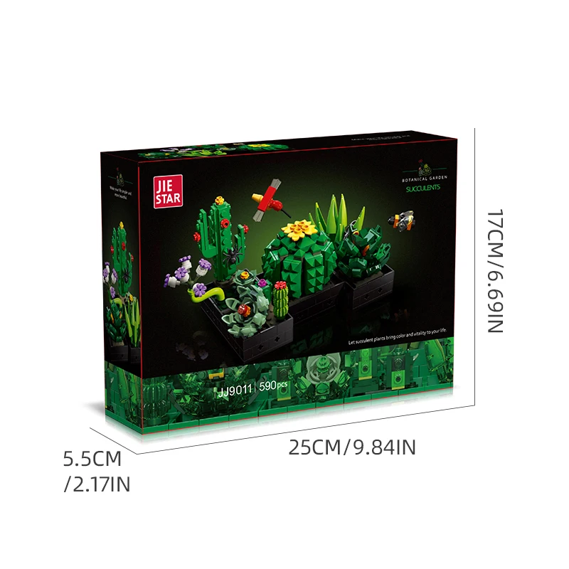 Set plantas suculentas decorativas para habitación – estilo natural - imagen 3