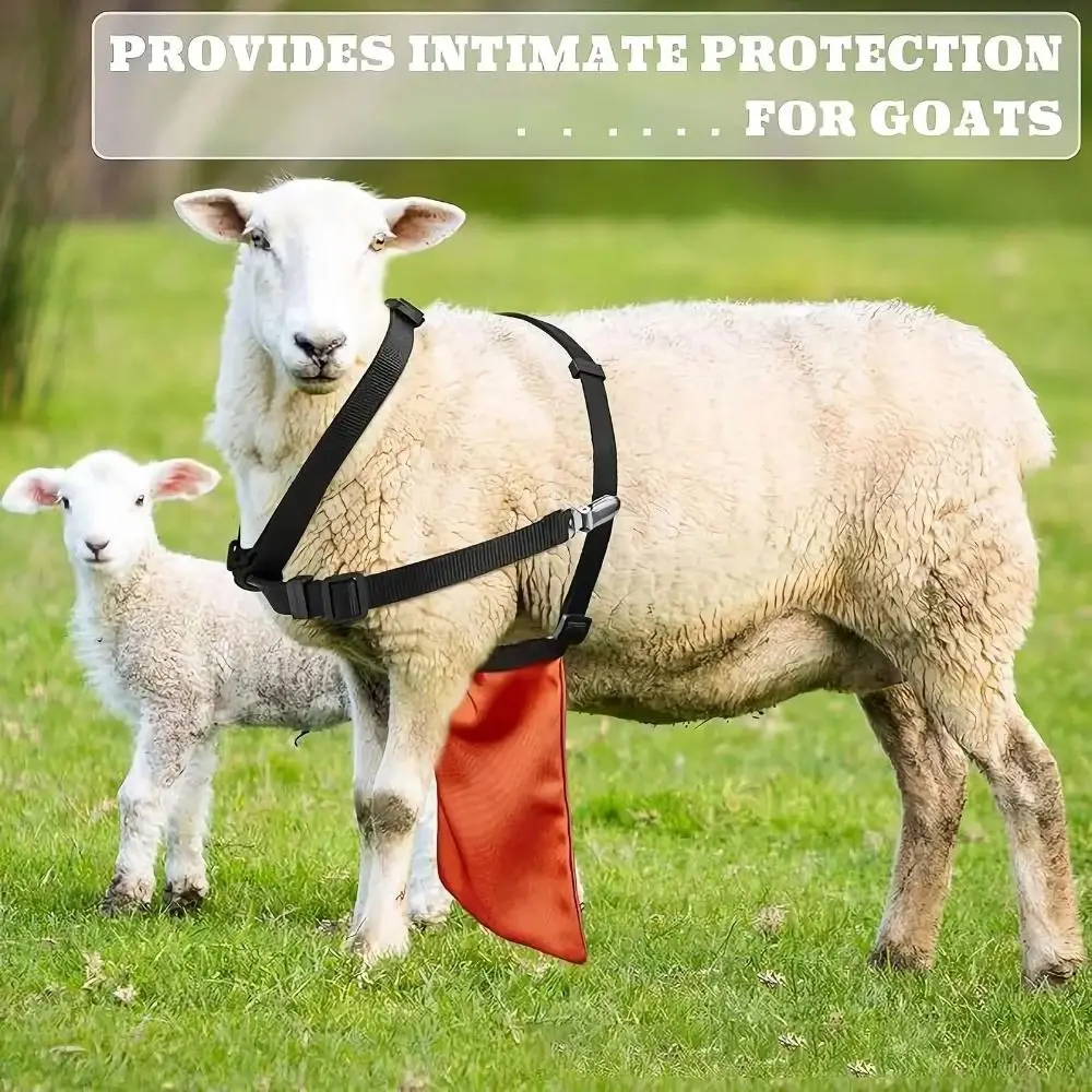 Delantal antiapareamiento ajustable para cabras transpirable resistente