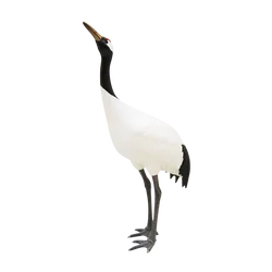 Figuras cápsula Ikimon: criaturas coleccionables de naturaleza japonesa