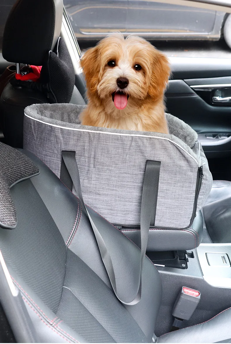 Perro sentado cómodamente en el asiento elevador para mascotas dentro del coche