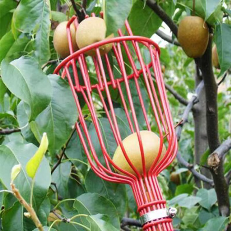 Cabezal recolector de frutasView