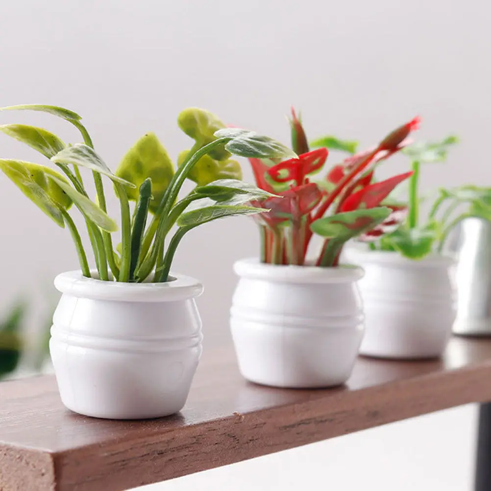 Estilo bonsái en maceta para micro jardín