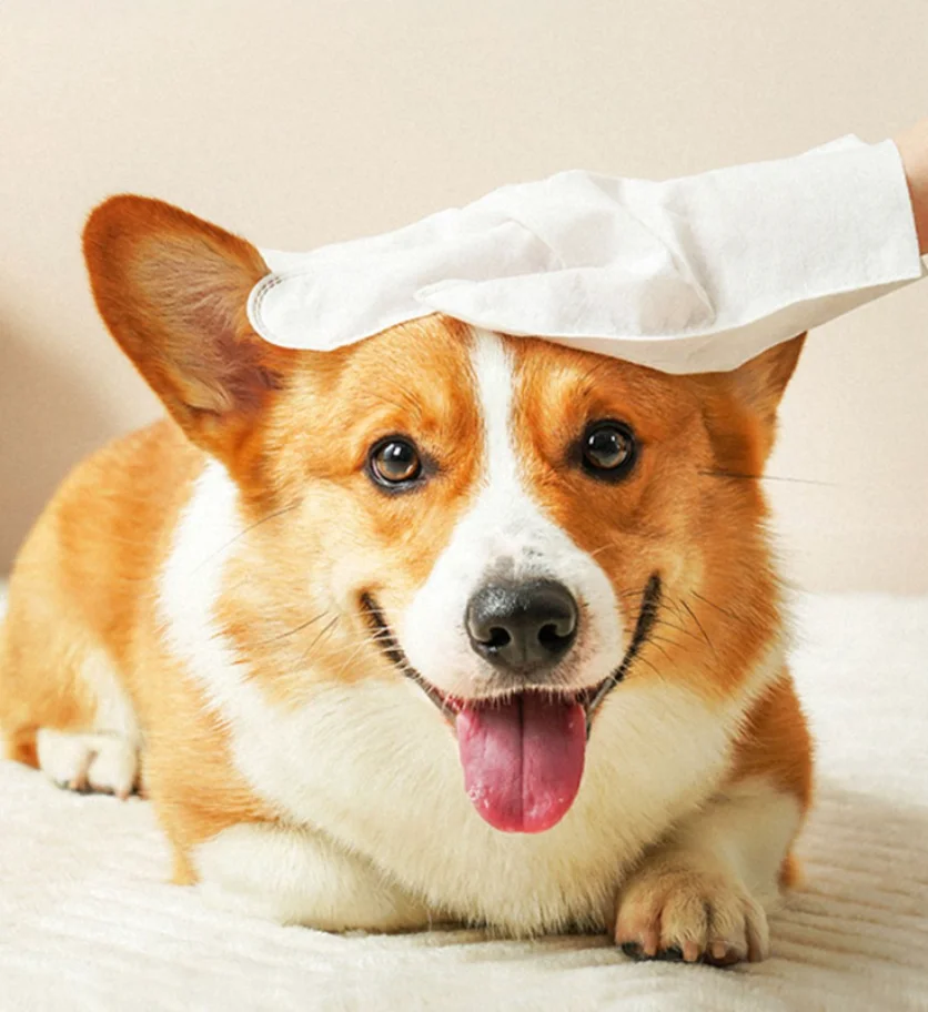 Guantes desechables para mascotas de baño y limpieza: perros, gatos - imagen 3