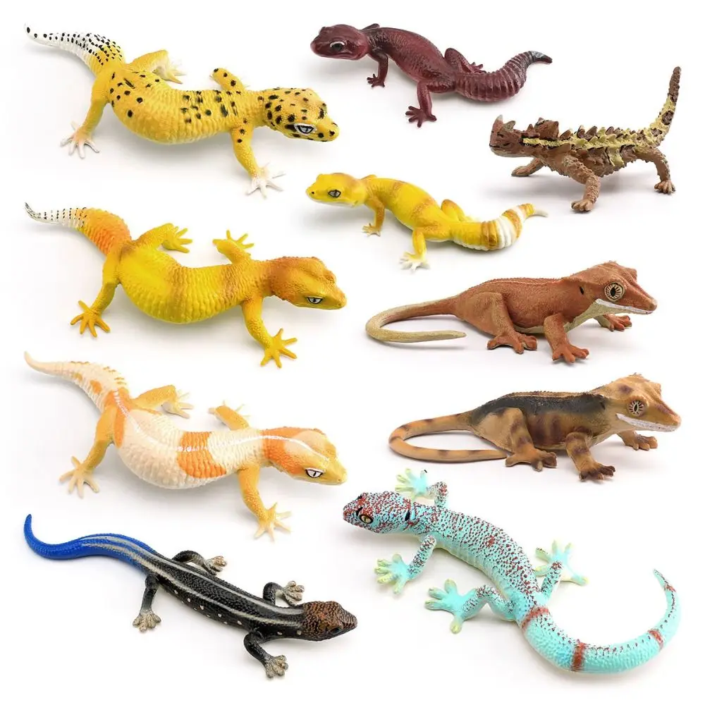 Figura educativa de gecko para aprender y regalar en cumpleaños - imagen 5