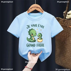 Camiseta de dinosaurio francés para hermano mayor, mensaje divertido