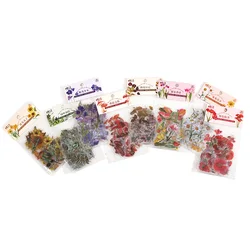 Pegatinas vintage de flores para cuadernos y álbumes