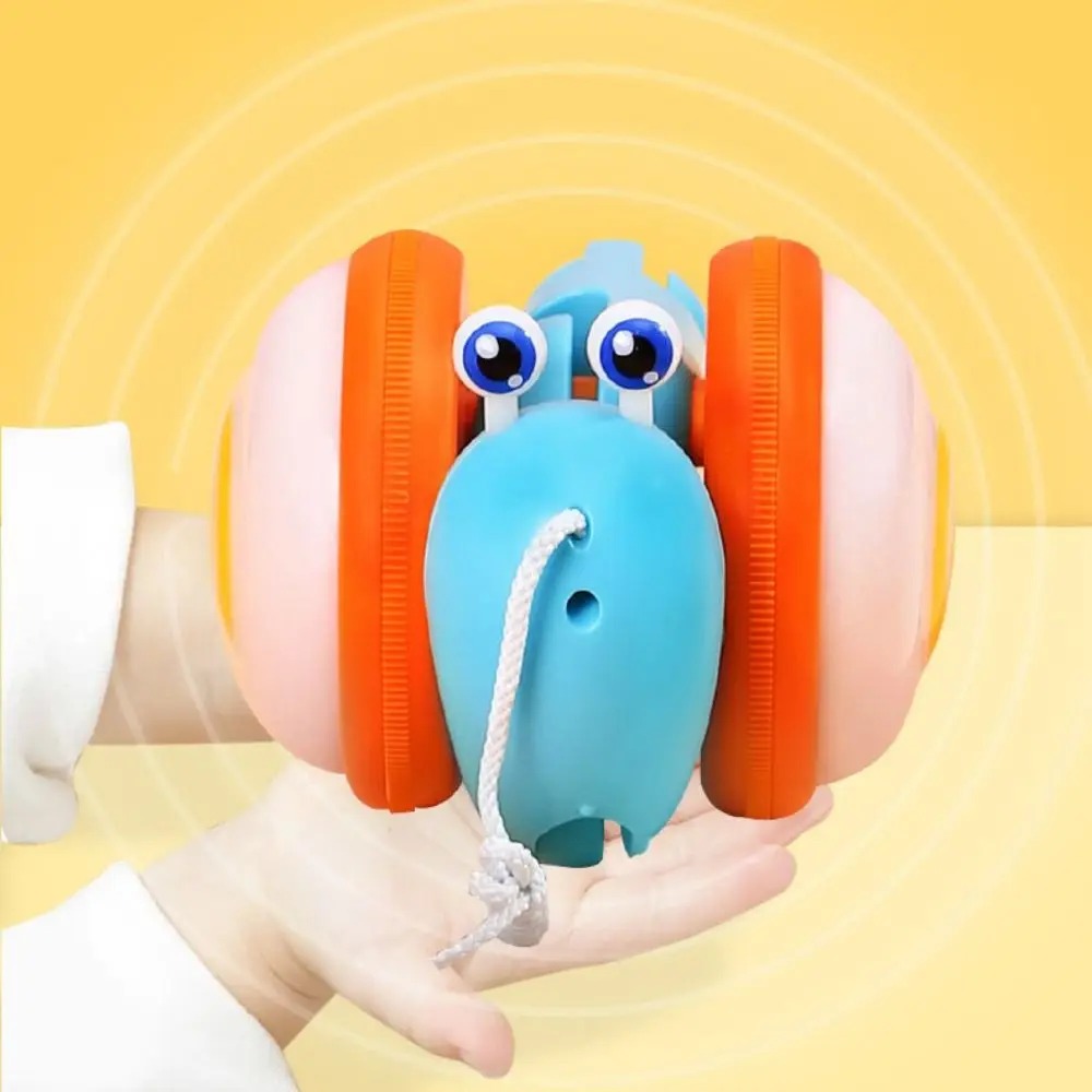 Caracol luminoso en tonos variados