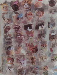 Pegatinas láser de gato translúcidas con purpurina impermeables