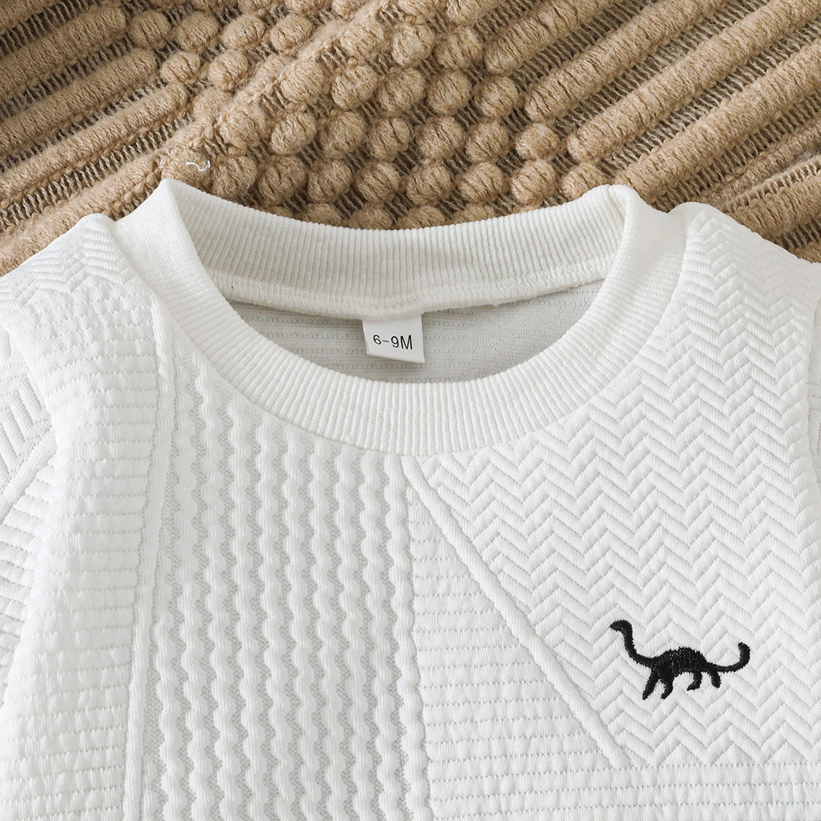 Tregren Conjunto de bebé sudadera y pantalón dinosaurio bordado