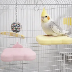 Piedra pómez para loros desmontable: juguete que afila garras