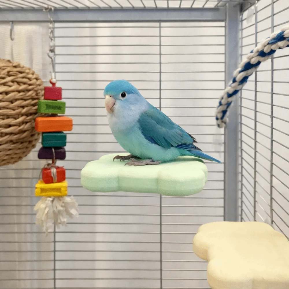 Piedra pómez para loros desmontable: juguete que afila garras - imagen 4