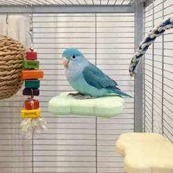 Piedra pómez para loros desmontable: juguete que afila garras