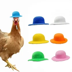 Sombrero de copa infantil pollo para disfraz, elegante