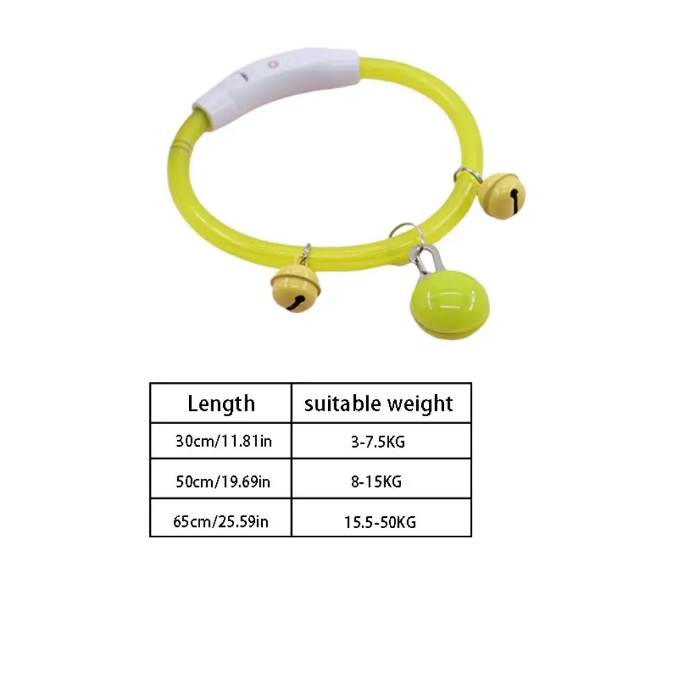 Perro con collar LED multicolor