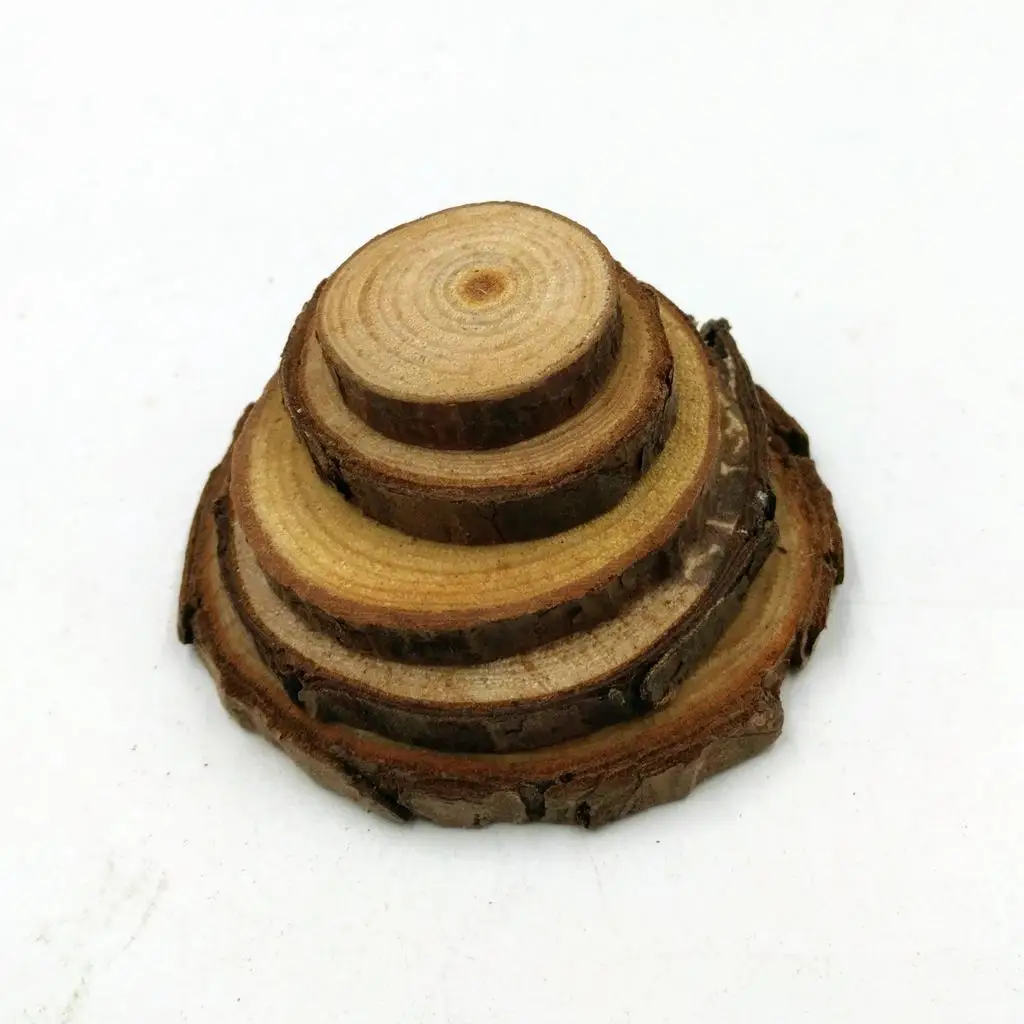 Rodajas de madera redondas para manualidades rústicas personalizables - imagen 5