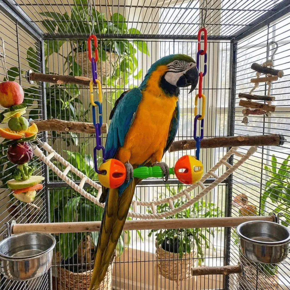 Columpio colgante para pájaros con campanas y soporte plástico - imagen 3