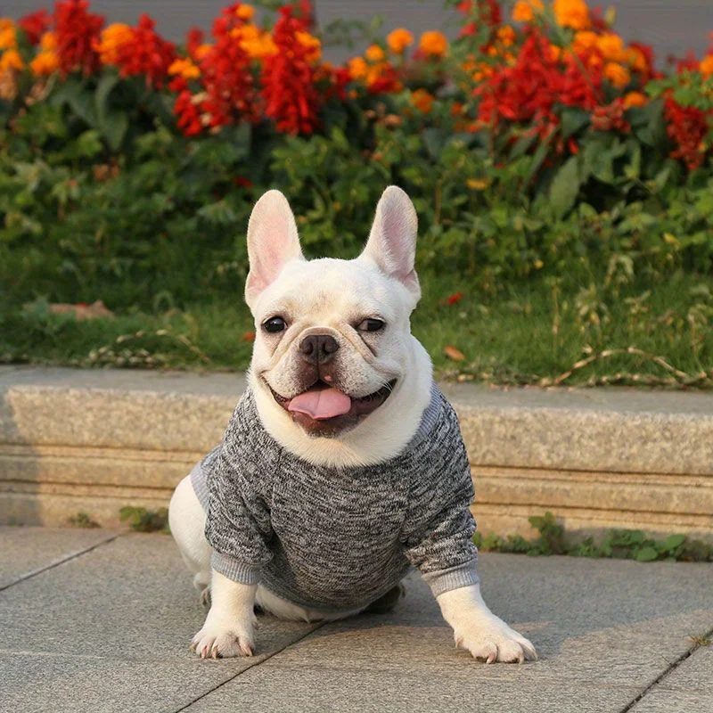 Sudadera de invierno para perros Bulldog Francés – Jersey térmico - imagen 3