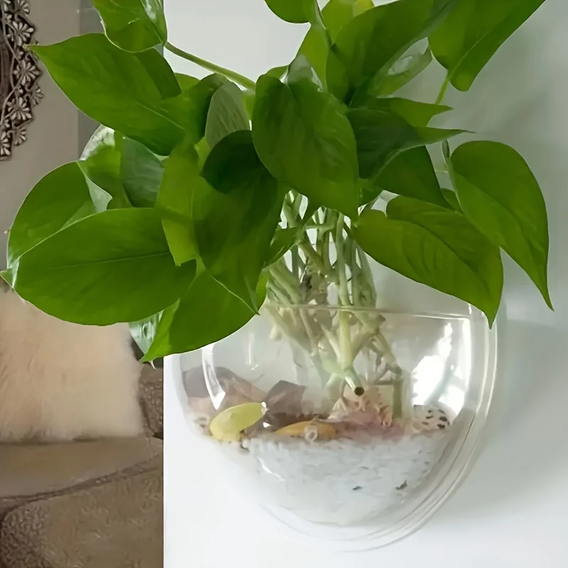 Macetero hidropónico de pared sin taladro para jardín y hogar - imagen 2